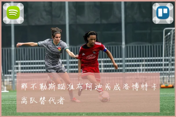 那不勒斯瞄准布阿迪或成洛博特卡离队替代者